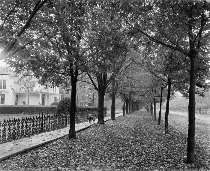 Framed Print : Gratiot Ave. and Church St. Mt. Clemens, between 1880 and 1899. Creator: Unknown Framed Print : Gratiot Ave. and Church St. Mt. Clemens, between 1880 and 1899. Creator: Unknown