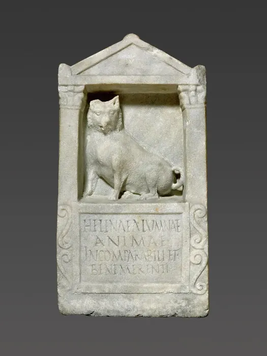 Framed Print : Grave Stele For Helena, A.D. 150-200. Creator: Unknown Framed Print : Grave Stele For Helena, A.D. 150-200. Creator: Unknown