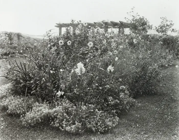Framed Print : Gray Gardens, Robert Carmer Hill house, Lily Pond Lane, East Hampton, New York, 1914. Creator: Frances Benjamin Johnston. Gray Gardens, Robert Carmer Hill house, Lily Pond Lane, East Hampton, New York, 1914 Framed Print : Gray Gardens, Robert Carmer Hill house, Lily Pond Lane, East Hampton, New York, 1914. Creator: Frances Benjamin Johnston. Gray Gardens, Robert Carmer Hill house, Lily Pond Lane, East Hampton, New York, 1914
