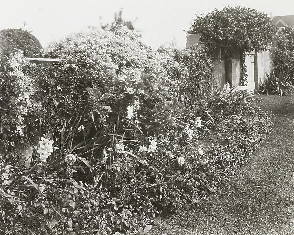 'Gray Gardens, ' Robert Carmer Hill house, Lily Pond Lane, East Hampton, New York, c1916. Creator: Frances Benjamin Johnston. 'Gray Gardens, ' Robert Carmer Hill house, Lily Pond Lane, East Hampton, New York, c1916