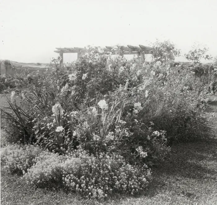 Framed Print : Gray Gardens, Robert Carmer Hill house, Lily Pond Lane, East Hampton, New York, c1914. Creator: Frances Benjamin Johnston. Gray Gardens, Robert Carmer Hill house, Lily Pond Lane, East Hampton, New York, c1914 Framed Print : Gray Gardens, Robert Carmer Hill house, Lily Pond Lane, East Hampton, New York, c1914. Creator: Frances Benjamin Johnston. Gray Gardens, Robert Carmer Hill house, Lily Pond Lane, East Hampton, New York, c1914