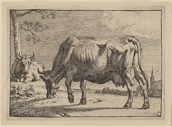Grazing Cow, 1650. Creator: Paulus Potter