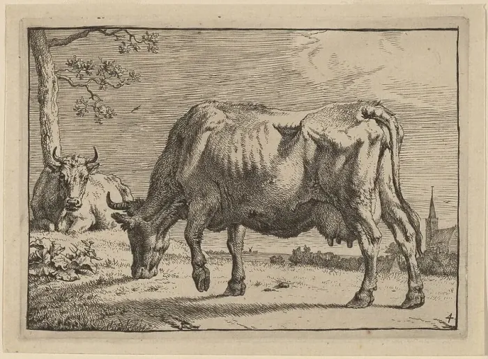 Framed Print : Grazing Cow, 1650. Creator: Paulus Potter Framed Print : Grazing Cow, 1650. Creator: Paulus Potter