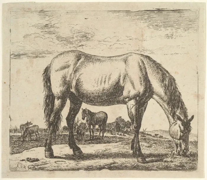 Framed Print : Grazing Horse, from Different Animals. Creator: Adriaen van de Velde Framed Print : Grazing Horse, from Different Animals. Creator: Adriaen van de Velde