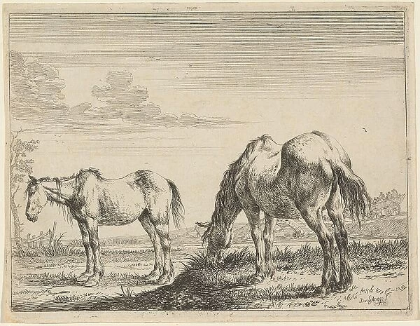 Two Grazing Horses, 1651. Creator: Dirck Stoop