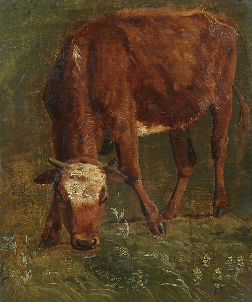 Grazing red heifer. Study, 1843. Creator: Johan Thomas Lundbye