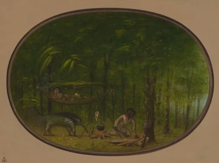 Framed Print : The Great Ant-Eater, 1854 / 1869. Creator: George Catlin Framed Print : The Great Ant-Eater, 1854 / 1869. Creator: George Catlin