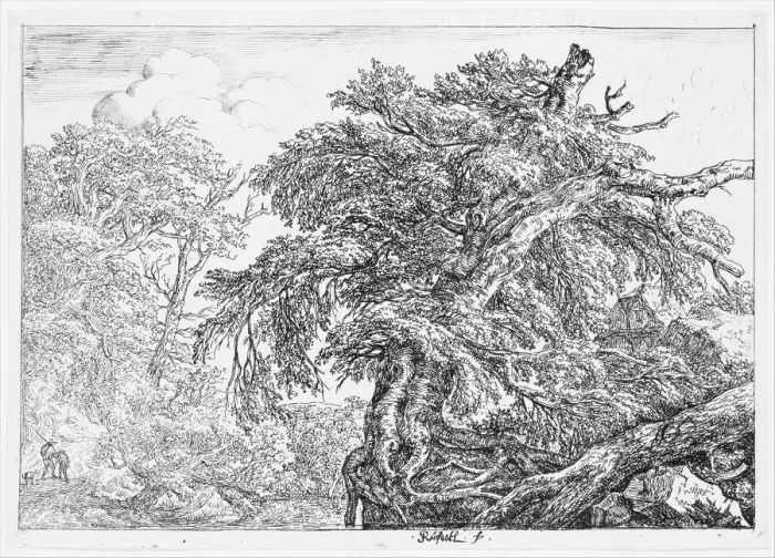 Framed Print : The Great Beech, 1650-82. Creator: Jacob van Ruisdael Framed Print : The Great Beech, 1650-82. Creator: Jacob van Ruisdael