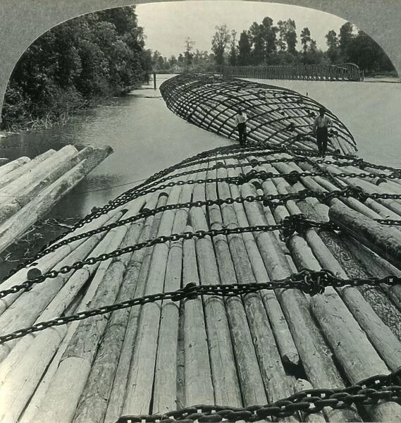 Great Chained Log Rafts on the Columbia River, Wash. c1930s. Creator: Unknown
