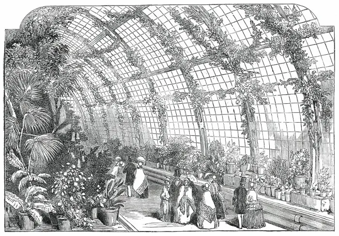 Framed Print : The Great Conservatory in the Gardens of the Horticultural Society, at Chiswick, 1850. Creator: Unknown Framed Print : The Great Conservatory in the Gardens of the Horticultural Society, at Chiswick, 1850. Creator: Unknown