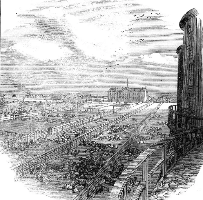Framed Print : The Great Fire at Chicago: stock-yards, 1871. Creator: Unknown Framed Print : The Great Fire at Chicago: stock-yards, 1871. Creator: Unknown