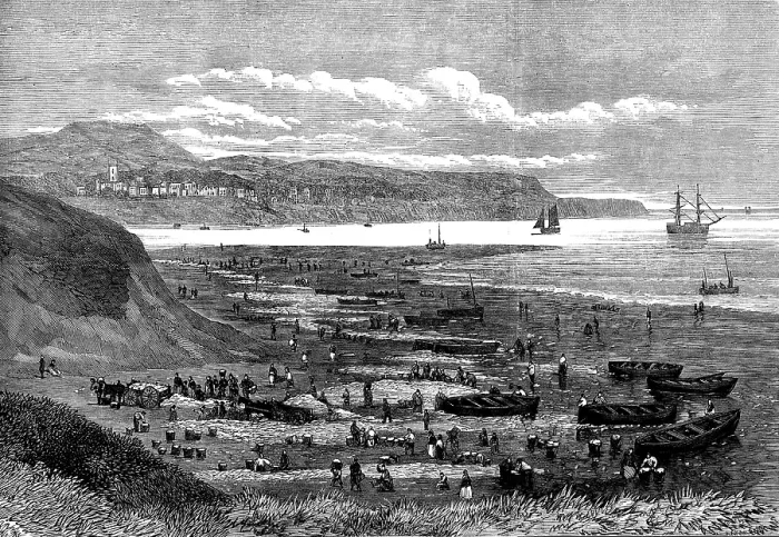Framed Print : Great take of herring at the mouth of the Exe, 1873. Creator: Unknown Framed Print : Great take of herring at the mouth of the Exe, 1873. Creator: Unknown