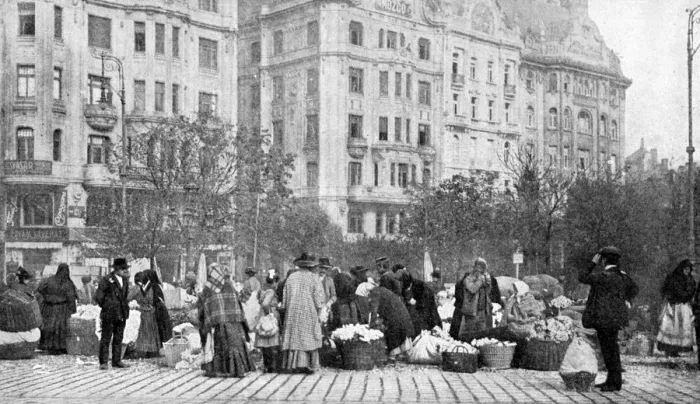 Framed Print : Great market of flowers, Budapest, Hungary, 1922. Artist: AW Cutler Framed Print : Great market of flowers, Budapest, Hungary, 1922. Artist: AW Cutler