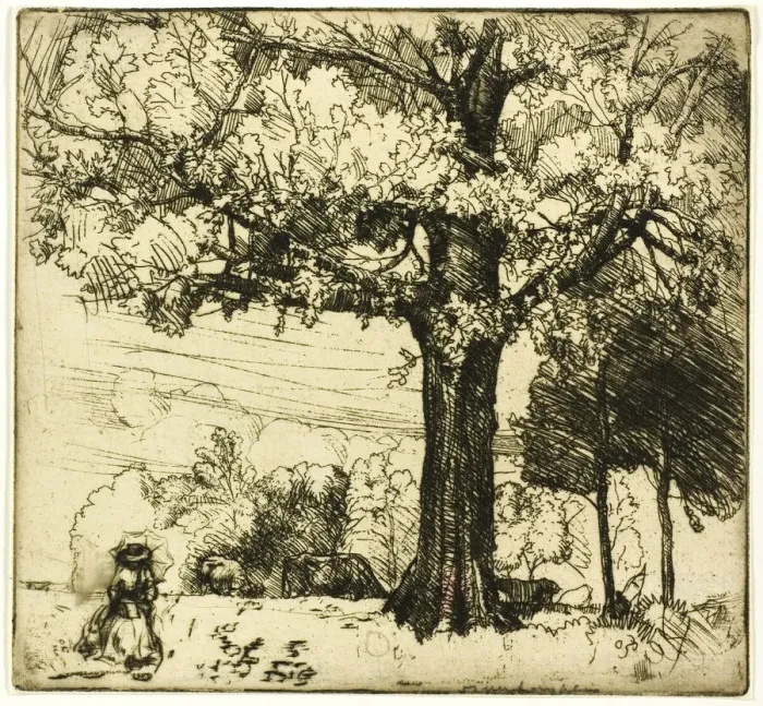 Framed Print : The Great Oak, 1907. Creator: Donald Shaw MacLaughlan Framed Print : The Great Oak, 1907. Creator: Donald Shaw MacLaughlan