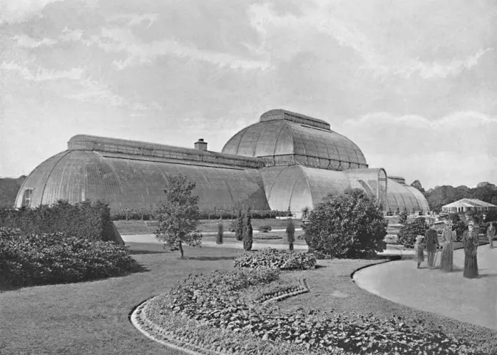 Framed Print : The Great Palm House, Kew Gardens, c1896. Artist: York & Son Framed Print : The Great Palm House, Kew Gardens, c1896. Artist: York & Son