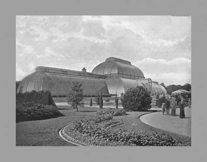 Framed Print : The Great Palm House, Kew Gardens, London, c1900. Artists: Decimus Burton, York & Son Framed Print : The Great Palm House, Kew Gardens, London, c1900. Artists: Decimus Burton, York & Son