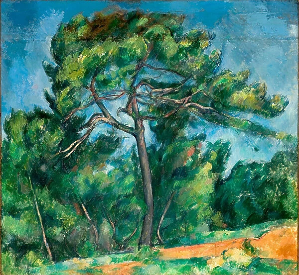 The Great Pine (Le Grand Pin), 1890-1896. Creator: Cézanne, Paul (1839-1906)