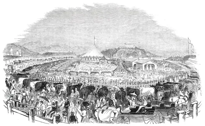 Framed Print : The Great Poughkeepsie Cattle Show, 1844. Creator: Smyth Framed Print : The Great Poughkeepsie Cattle Show, 1844. Creator: Smyth