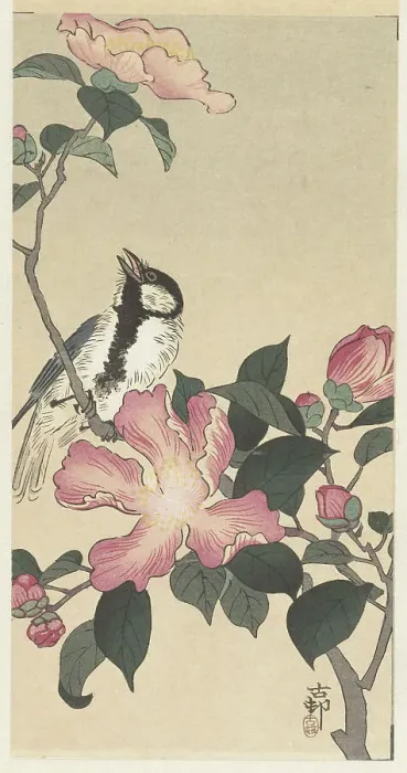 Framed Print : Great tit on branch with pink flowers. Creator: Ohara, Koson (1877-1945) Framed Print : Great tit on branch with pink flowers. Creator: Ohara, Koson (1877-1945)