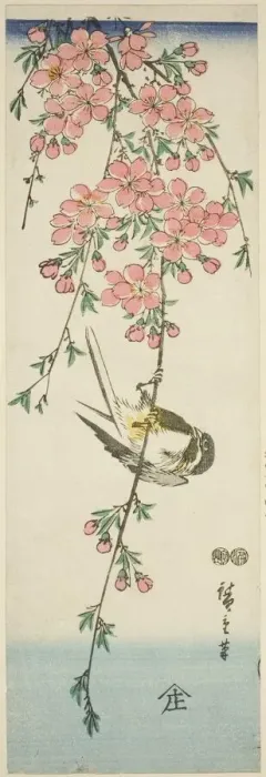 Framed Print : Great tit and cherry blossoms, c. 1847 / 52. Creator: Ando Hiroshige Framed Print : Great tit and cherry blossoms, c. 1847 / 52. Creator: Ando Hiroshige