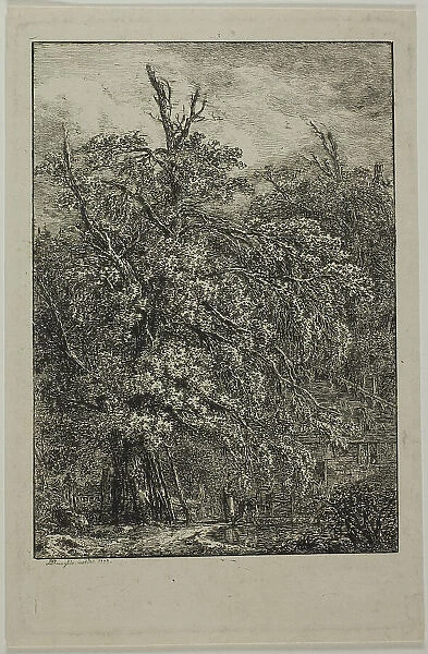 Great Tree, 1809. Creator: Domenico Quaglio II