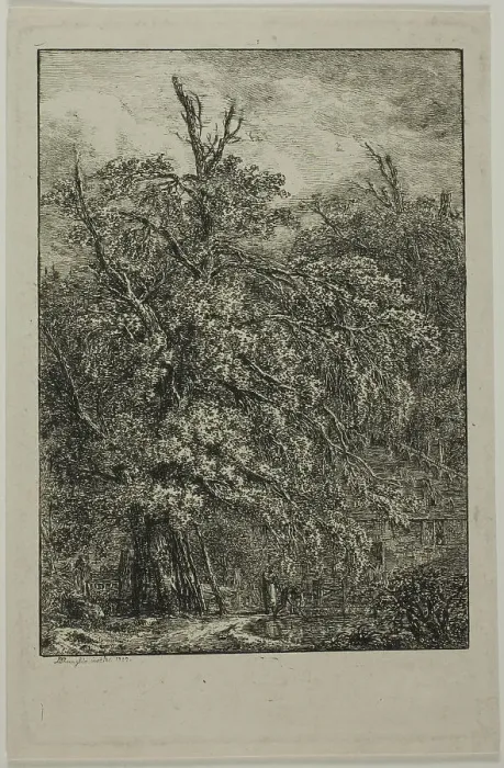 Framed Print : Great Tree, 1809. Creator: Domenico Quaglio II Framed Print : Great Tree, 1809. Creator: Domenico Quaglio II