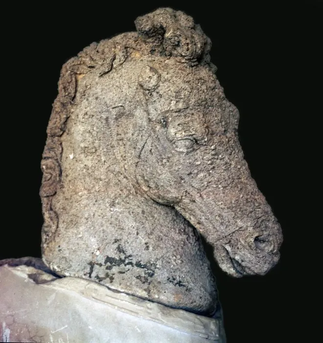 Framed Print : Greek marble horses head, c. 5th century BC Framed Print : Greek marble horses head, c. 5th century BC