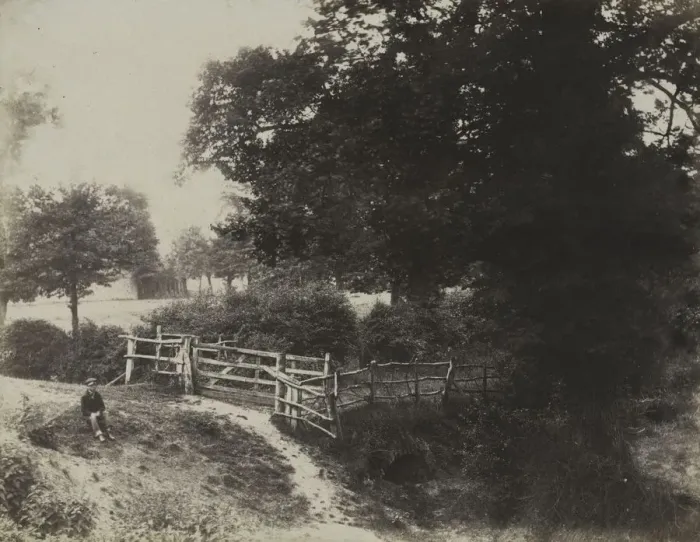 Framed Print : Green Meadows, 1854. Creator: George Shadbolt (British, 1819-1901); Photographic Exchange Club Framed Print : Green Meadows, 1854. Creator: George Shadbolt (British, 1819-1901); Photographic Exchange Club