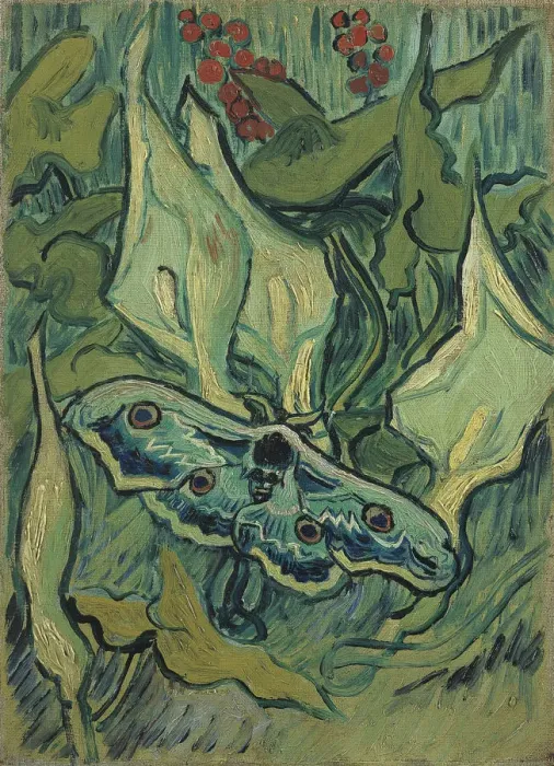 Framed Print : Green Peacock Moth (The Emperor Moth), 1889. Artist: Gogh, Vincent, van (1853-1890) Framed Print : Green Peacock Moth (The Emperor Moth), 1889. Artist: Gogh, Vincent, van (1853-1890)