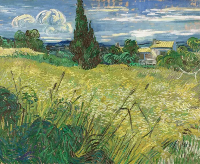 Framed Print : Green Wheat Field with Cypress. Artist: Gogh, Vincent, van (1853-1890) Framed Print : Green Wheat Field with Cypress. Artist: Gogh, Vincent, van (1853-1890)