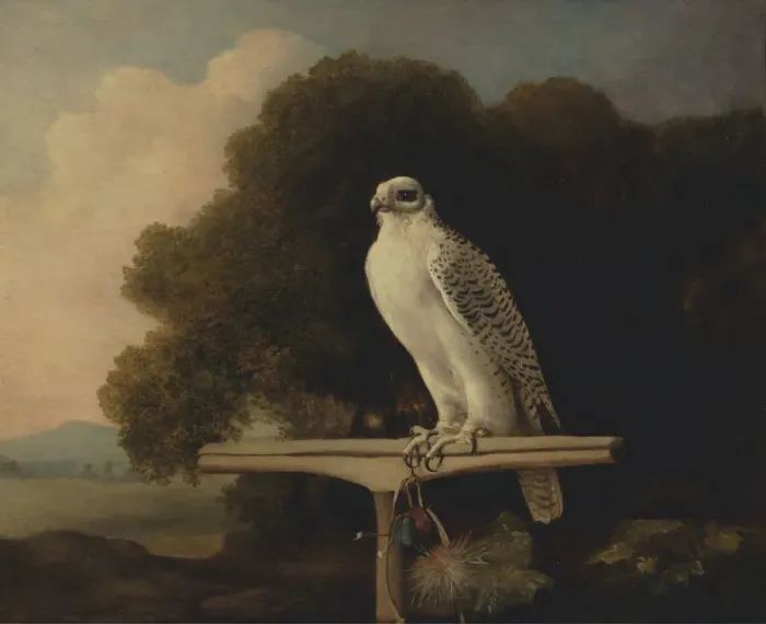 Framed Print : Greenland Falcon; Gyr Falcon, 1780. Creator: George Stubbs Framed Print : Greenland Falcon; Gyr Falcon, 1780. Creator: George Stubbs