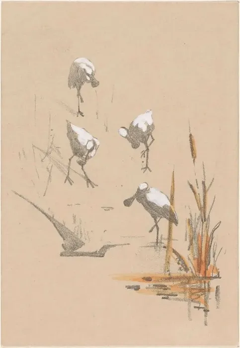 Framed Print : Greeting card with four spoonbills, c.1878-c.1917. Creator: Theo van Hoytema Framed Print : Greeting card with four spoonbills, c.1878-c.1917. Creator: Theo van Hoytema