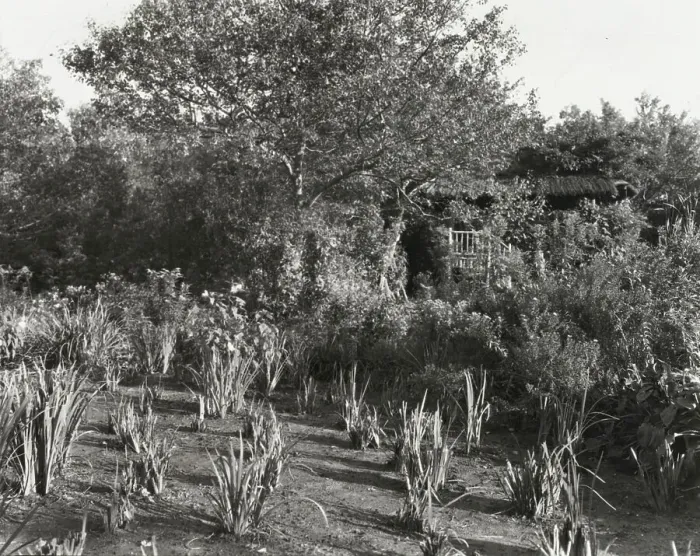 Framed Print : Grey-Croft, Stephen Swete Cummins house, Huntting Lane, East Hampton, New York, 1913. Creator: Frances Benjamin Johnston. Grey-Croft, Stephen Swete Cummins house, Huntting Lane, East Hampton, New York, 1913 Framed Print : Grey-Croft, Stephen Swete Cummins house, Huntting Lane, East Hampton, New York, 1913. Creator: Frances Benjamin Johnston. Grey-Croft, Stephen Swete Cummins house, Huntting Lane, East Hampton, New York, 1913