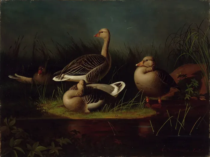 Framed Print : Greylag Geese, copy after Ferdinand von Wright, 1866. Creator: Magnus von Wright Framed Print : Greylag Geese, copy after Ferdinand von Wright, 1866. Creator: Magnus von Wright