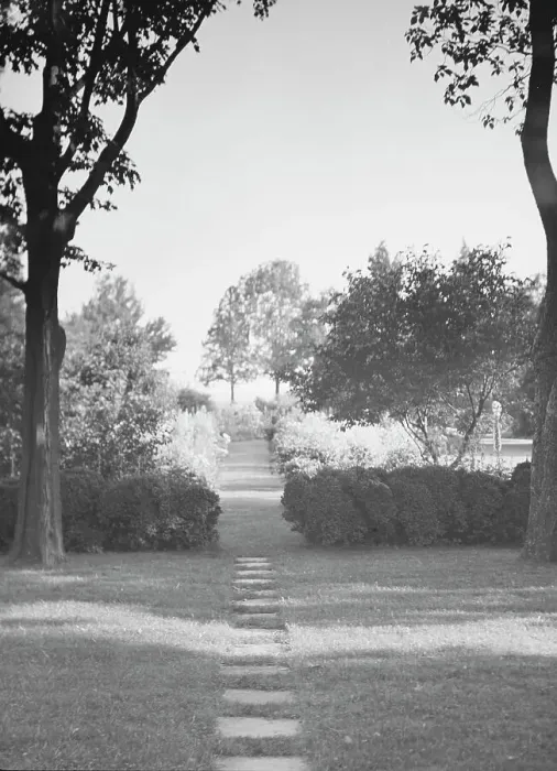 Framed Print : Griffin or Nissen Garden view, 1931 June 14. Creator: Arnold Genthe Framed Print : Griffin or Nissen Garden view, 1931 June 14. Creator: Arnold Genthe