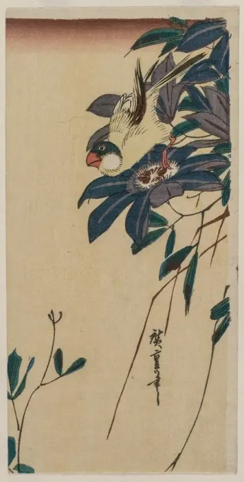 Framed Print : Grosbeak and Clematis, mid-1830s. Creator: Ando Hiroshige (Japanese, 1797-1858) Framed Print : Grosbeak and Clematis, mid-1830s. Creator: Ando Hiroshige (Japanese, 1797-1858)