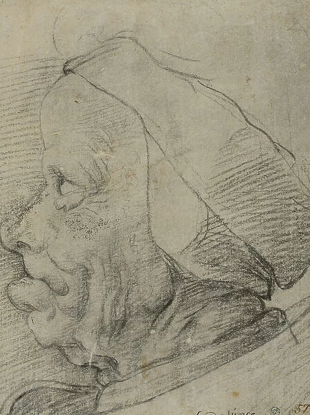Grotesque head in profile, c15th century. Creator: Anon