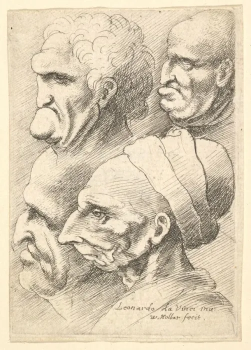 Framed Print : Four grotesque heads in profile to left, 1625-77. Creator: Wenceslaus Hollar Framed Print : Four grotesque heads in profile to left, 1625-77. Creator: Wenceslaus Hollar