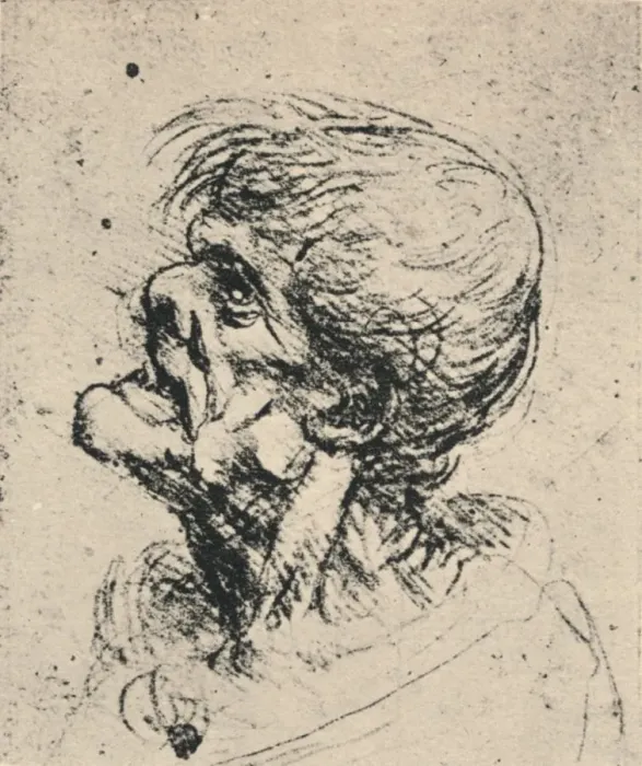 Framed Print : Grotesque Profile to the Left, c1480 (1945). Artist: Leonardo da Vinci Framed Print : Grotesque Profile to the Left, c1480 (1945). Artist: Leonardo da Vinci