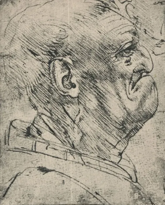 Framed Print : Grotesque Profile of a Man to the Right, c1480 (1945). Artist: Leonardo da Vinci Framed Print : Grotesque Profile of a Man to the Right, c1480 (1945). Artist: Leonardo da Vinci