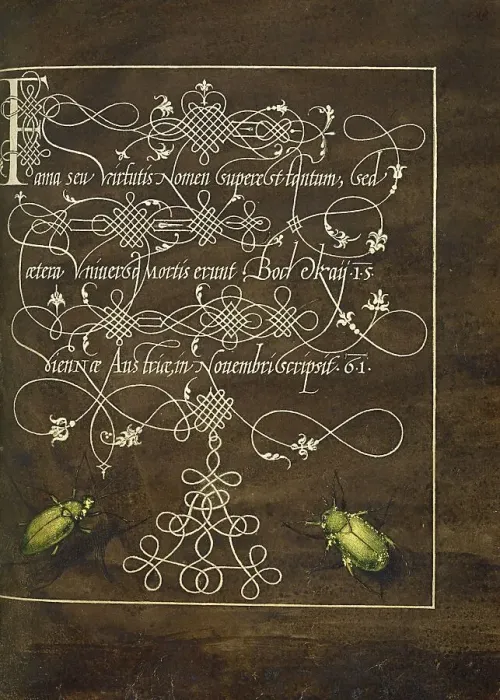 Framed Print : Ground Beetle and Scarab; Mira calligraphiae monumenta, 1561-1562; illumination added 1591-1596. Creator: Joris Hoefnagel Framed Print : Ground Beetle and Scarab; Mira calligraphiae monumenta, 1561-1562; illumination added 1591-1596. Creator: Joris Hoefnagel
