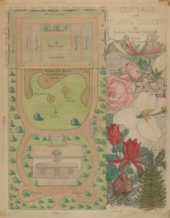 Framed Print : Ground Plan for Cottage, c. 1936. Creator: Virginia Richards Framed Print : Ground Plan for Cottage, c. 1936. Creator: Virginia Richards