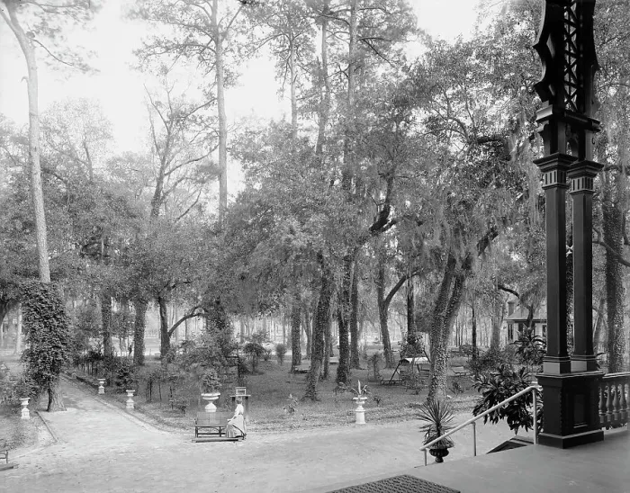 Framed Print : Grounds at the Pine Forest Inn, Summerville, S.C. c1904. Creator: Unknown Framed Print : Grounds at the Pine Forest Inn, Summerville, S.C. c1904. Creator: Unknown