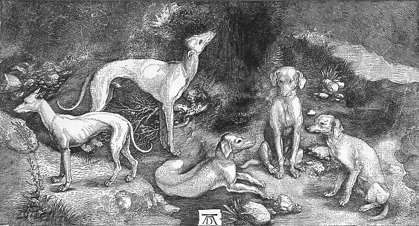 Group of Dogs. From the engraving of St. Eustace, by A. Durer, c1500, (1906). Artist: Albrecht Durer