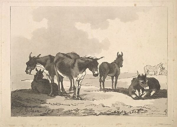 A Group of Five Donkeys, Three Standing, Two Lying, 1783-87. Creator: Thomas Rowlandson