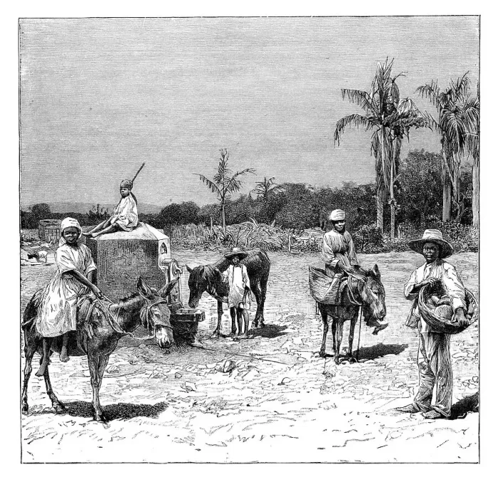 Framed Print : Group of Haitians, c1890 Framed Print : Group of Haitians, c1890