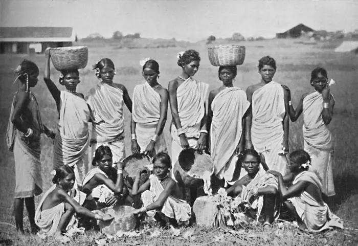 Framed Print : A group of Kol girls, 1902. Artist: Bourne & Shepherd Framed Print : A group of Kol girls, 1902. Artist: Bourne & Shepherd