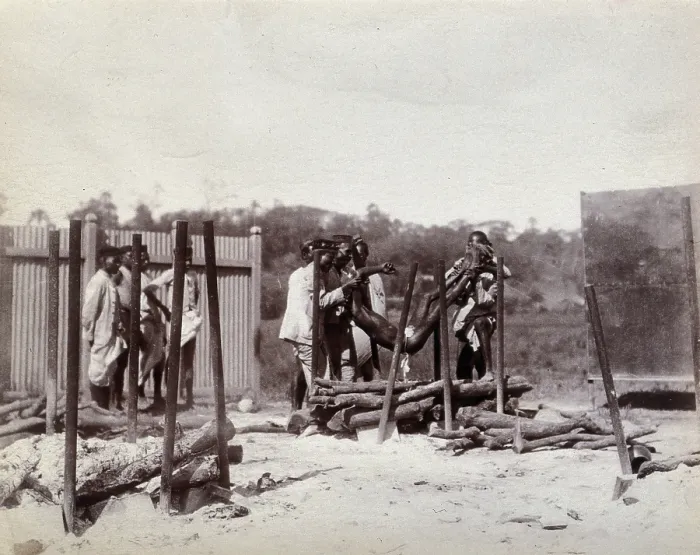 Framed Print : A group of men lower the body of a dead man on to a pyre of logs prior to a Hindu... 1896 / 1897. Creator: Unknown Framed Print : A group of men lower the body of a dead man on to a pyre of logs prior to a Hindu... 1896 / 1897. Creator: Unknown