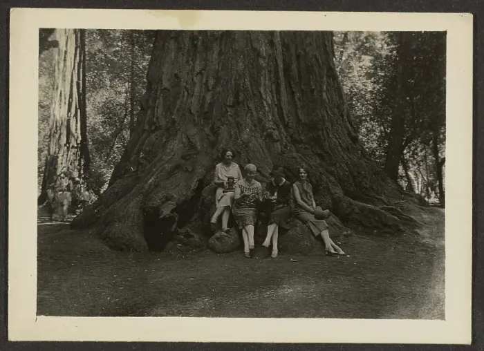 Framed Print : Group Portrait at Base of Tree, 1907-1943. Creator: Louis Fleckenstein Framed Print : Group Portrait at Base of Tree, 1907-1943. Creator: Louis Fleckenstein