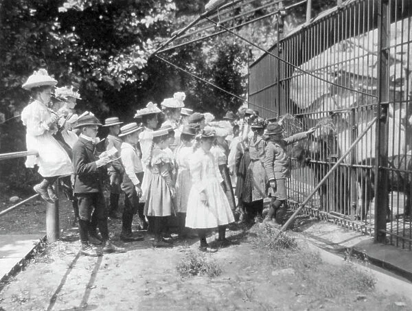 Group of public school children looking at bears in the National Zoo(?), Washington, D.C. (1899?). Creator: Frances Benjamin Johnston